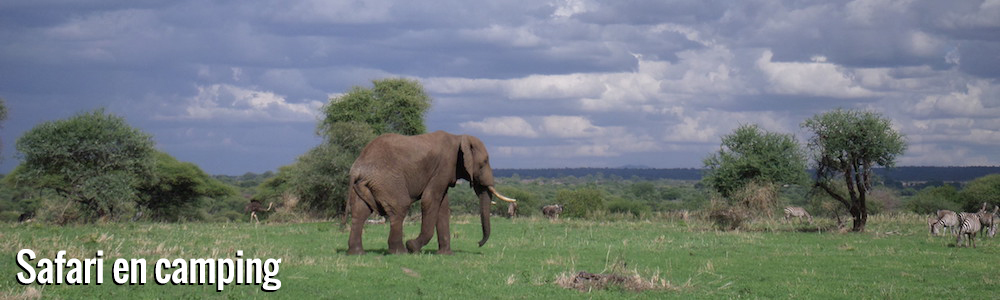 Exploration de la Tanzanie en safari camping