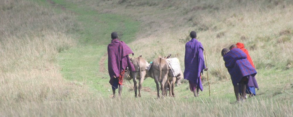 Massai