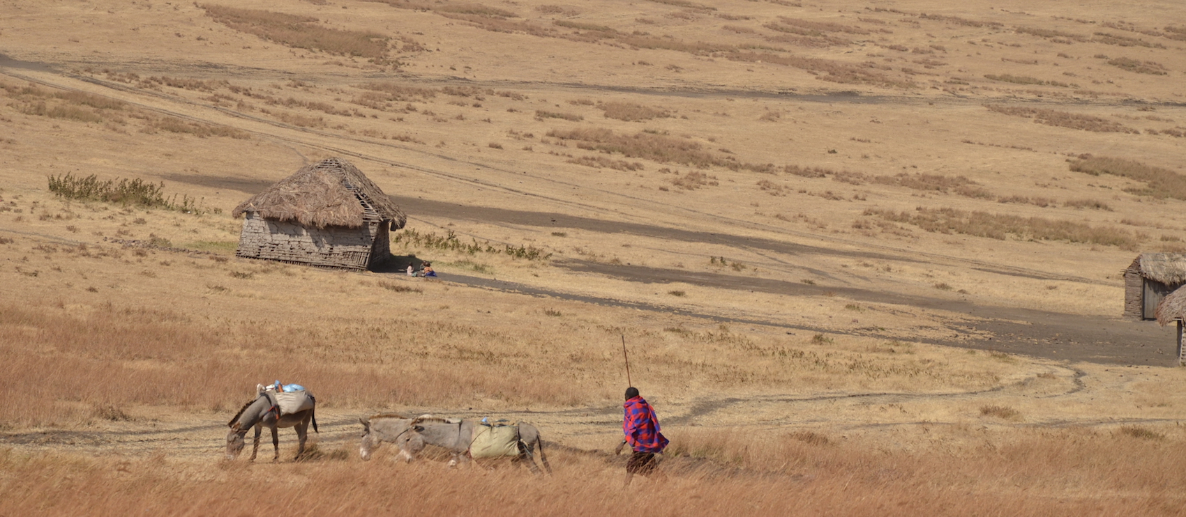 10 Little Known Facts About The Serengeti Blog SENE   Serengeti Plains 