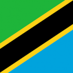 Tanzania flag - Green, yellow, black and blue