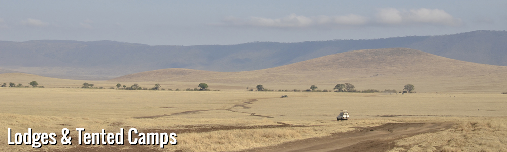 Tanzania safariscape